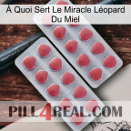 À Quoi Sert Le Miracle Léopard Du Miel 19